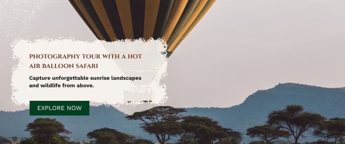 Masai Mara Photography Tour