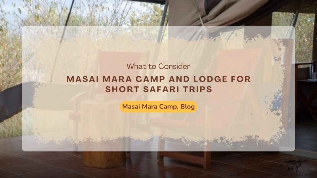 Masai Mara Camp and Lodge for Short Safari Trips: What to Consider
