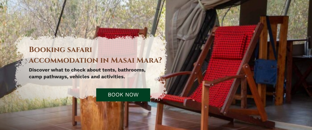 Safari Accommodation
