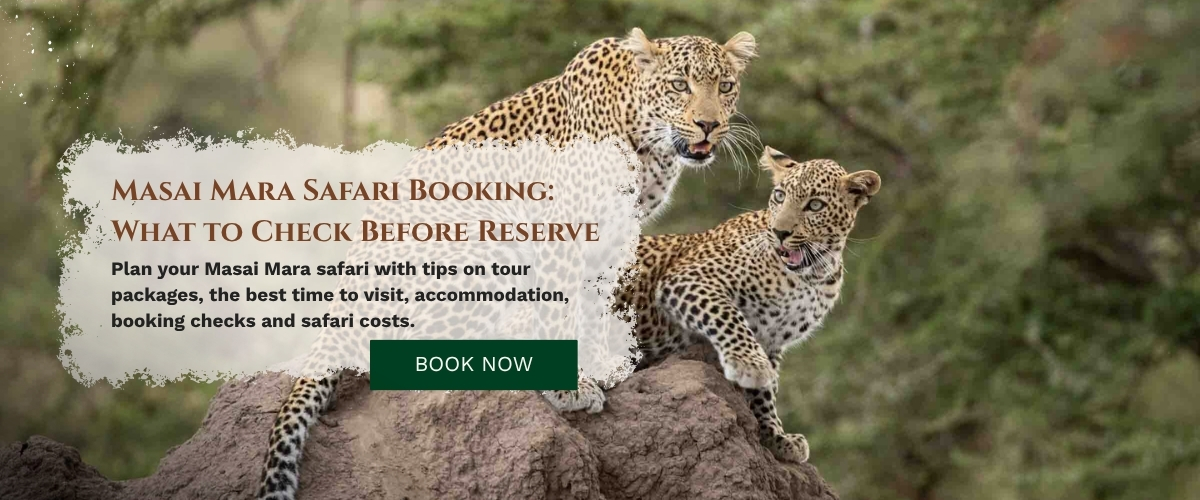 Masai Mara Safari