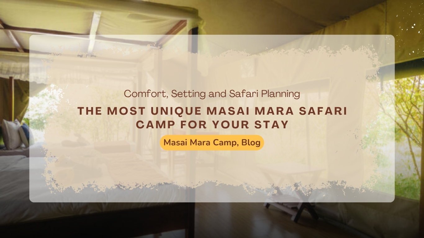 unique-masai-mara-safari-camp